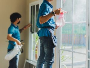 Instalação profissional de películas em Piracicaba